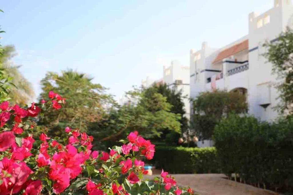Riviera Resort Apartment - Pool View & Wifi Sharm el-Sheikh Bagian luar foto