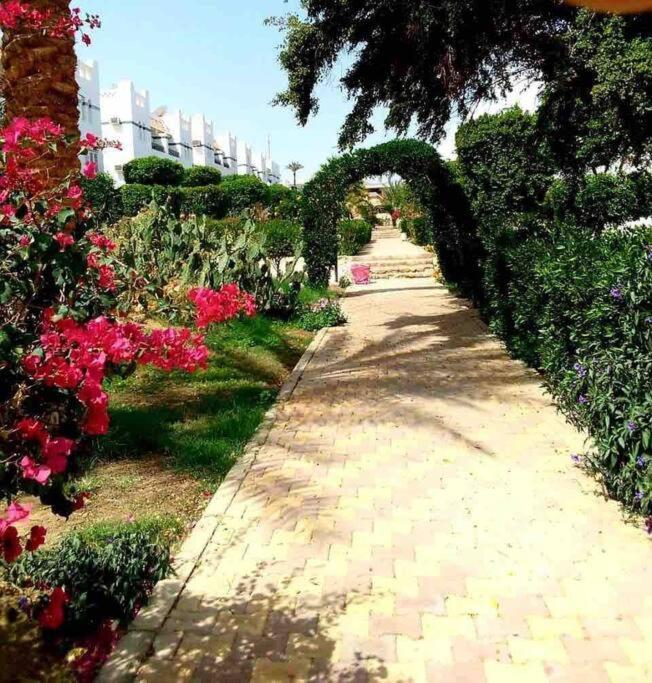 Riviera Resort Apartment - Pool View & Wifi Sharm el-Sheikh Bagian luar foto